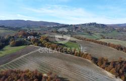 Tenuta Agricola Colle degli Etruschi 11