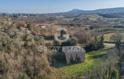 POGGIO PINETTO 3