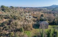 POGGIO PINETTO 2
