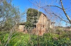 POGGIO PINETTO 13