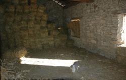 Original rustic farmhouse in beautiful panoramic and sunny position - Piedmont- Langhe 4
