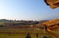 Asolo wine farm producing awarded 'Prosecco' ref.33a 4
