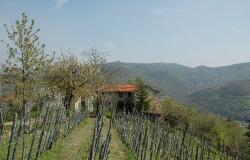  Original rustic farmhouse  in beautiful panoramic and sunny position - Piedmont- Langhe 0