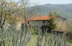  Original rustic farmhouse  in beautiful panoramic and sunny position - Piedmont- Langhe 1