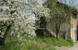  Original rustic farmhouse  in beautiful panoramic and sunny position - Piedmont- Langhe 8