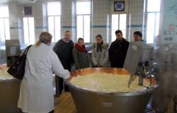 Reggio Lingua - Language school and cooking classes
