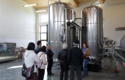 Reggio Lingua - Language school and cooking classes