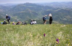 Hiking in Italy