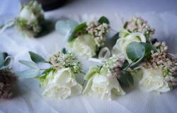 Italian Special Occasions