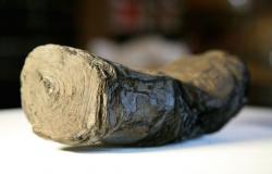 Herculaneum charred scroll