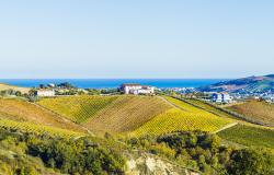 Landscape of Le Marche