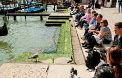 sitting ban Venice