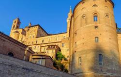what to see in Urbino