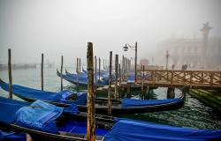 Venice gondolas