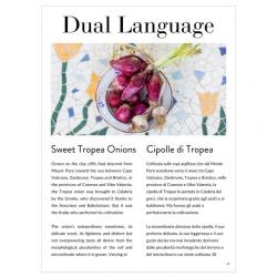 Dual language article on Tropea onions