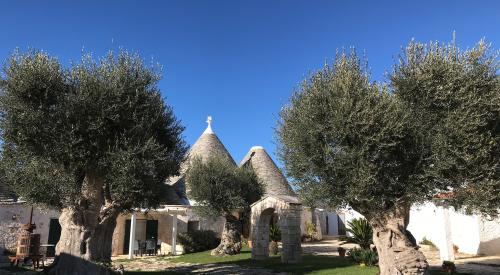 Hospitality, Courses & Italian Culture in Apulia -also Online. 1