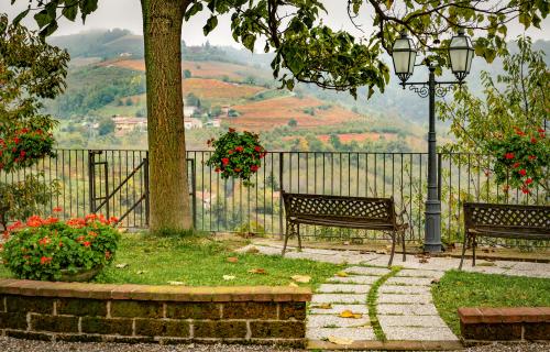 view of barolo vineyards in piedmont