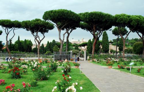 Rome's rose garden, Il Roseto