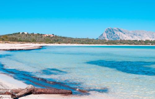 Beautiful beach in Sardinia