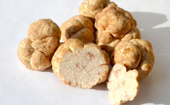 Bianchetto truffles