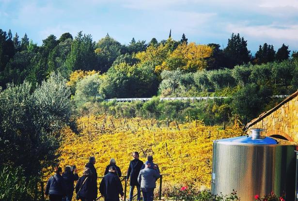 Private Wine Tour Experiences 4 Private Wine Tour Experiences 4