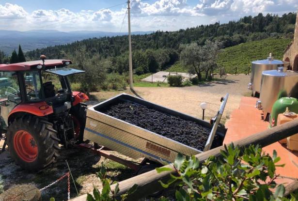 Private Wine Tour Experiences 7 Private Wine Tour Experiences 7