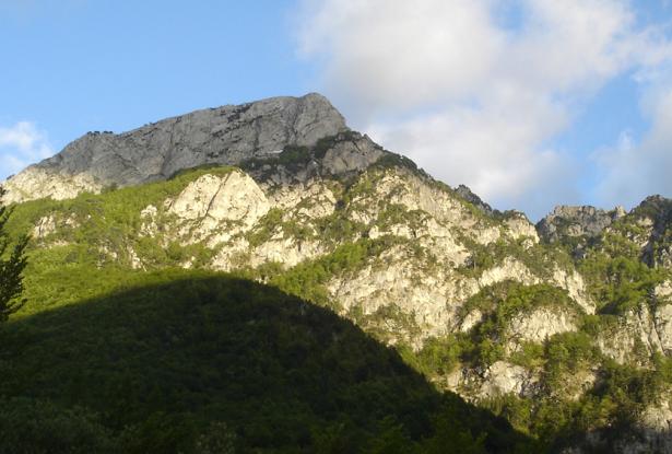 Sterpi d'Alto Sterpi d'Alto