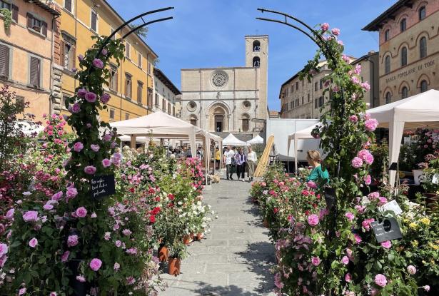 taste of umbria