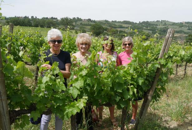 taste of umbria