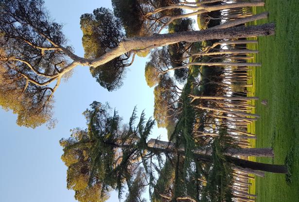 Italy-specialist bespoke tour & itinerary designer and curator with must-see + off-the-beaten-path offerings 4 Italy-specialist bespoke tour & itinerary designer and curator with must-see + off-the-beaten-path offerings 4