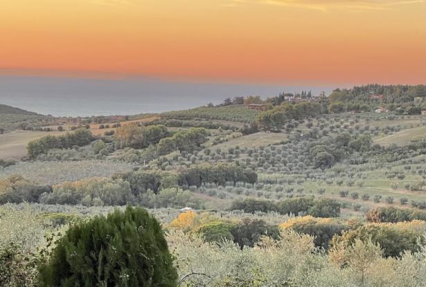 October 2023 Tuscany/Liguria ~ 10 Days and 9 Nights ~ Exploring Local Culture Through Food, Wine, and People 9 October 2023 Tuscany/Liguria ~ 10 Days and 9 Nights ~ Exploring Local Culture Through Food, Wine, and People 9