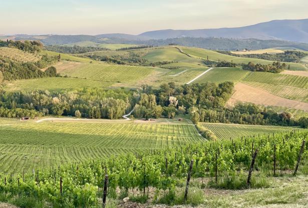 October 2023 Tuscany/Liguria ~ 10 Days and 9 Nights ~ Exploring Local Culture Through Food, Wine, and People 15 October 2023 Tuscany/Liguria ~ 10 Days and 9 Nights ~ Exploring Local Culture Through Food, Wine, and People 15