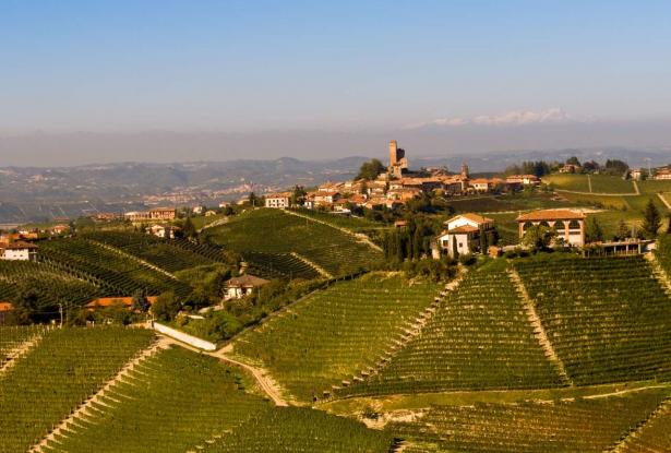 Barolo Elegance Barolo Elegance: Delve deep into the renowned Barolo vineyard for an unparalleled tasting experience.
