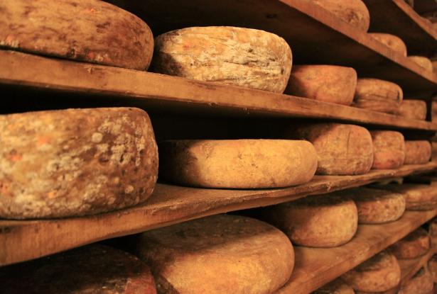 Luxury Vines, Velocity & Velvety flavors: A journey through Italy’s Finest Wines Ferrari thrills and Northern delicacies 8 Nights/9 days 3 Luxury Vines, Velocity & Velvety flavors: A journey through Italy’s Finest Wines Ferrari thrills and Northern delicacies 8 Nights/9 days 3