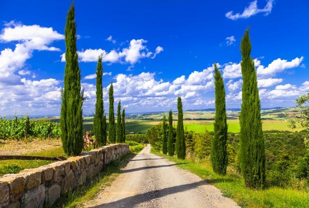 Luxury Vines, Velocity & Velvety flavors: A journey through Italy’s Finest Wines Ferrari thrills and Northern delicacies 8 Nights/9 days 8 Luxury Vines, Velocity & Velvety flavors: A journey through Italy’s Finest Wines Ferrari thrills and Northern delicacies 8 Nights/9 days 8