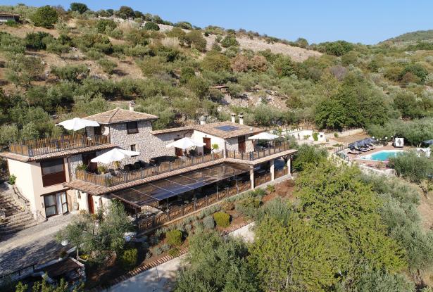 In the Heart of the Olive Groves