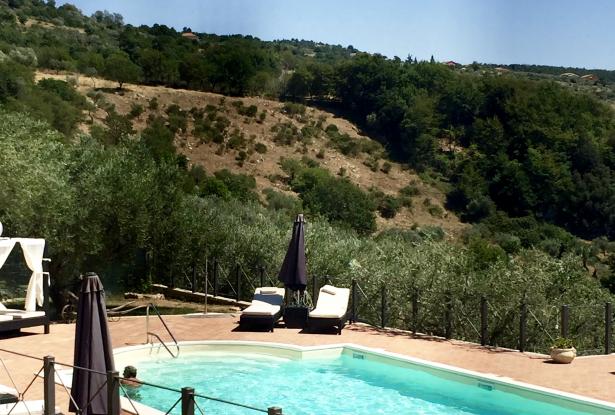 A pool with a view