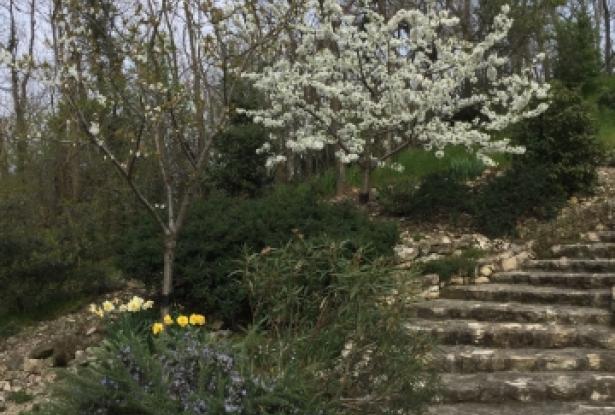 Euganean Hills- ‘The tower’, a historic building in a stunning setting! ref.90 3