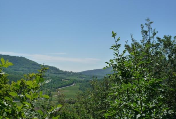 Euganean Hills- ‘The tower’, a historic building in a stunning setting! ref.90 12