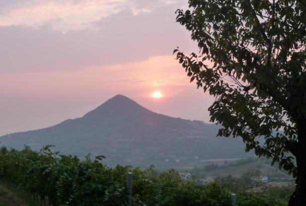Euganean Hills- ‘The tower’, a historic building in a stunning setting! ref.90 14