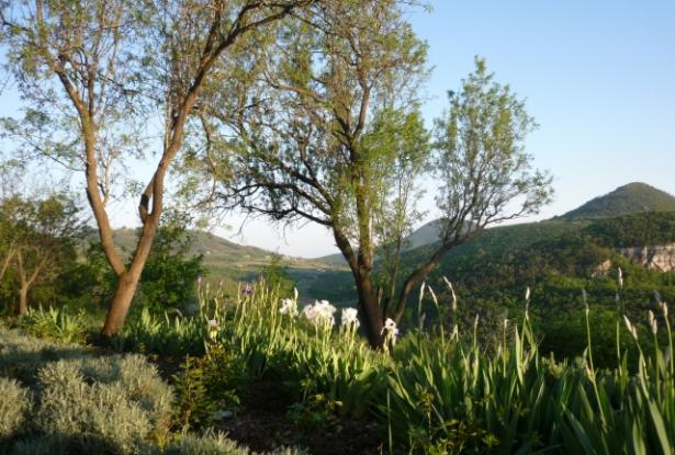 Euganean Hills- ‘The tower’, a historic building in a stunning setting! ref.90 11