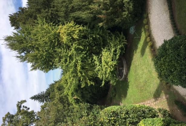 Stunning palazzo with park - Montagnana - ref.42a 13
