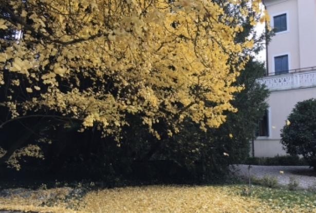 Stunning palazzo with park - Montagnana - ref.42a 14