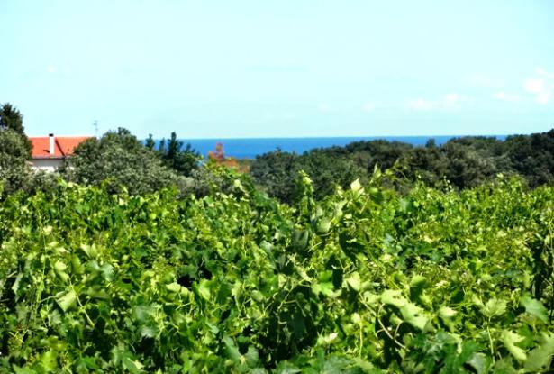 Building plot close to the beach for a Villa Abruzzo Italy