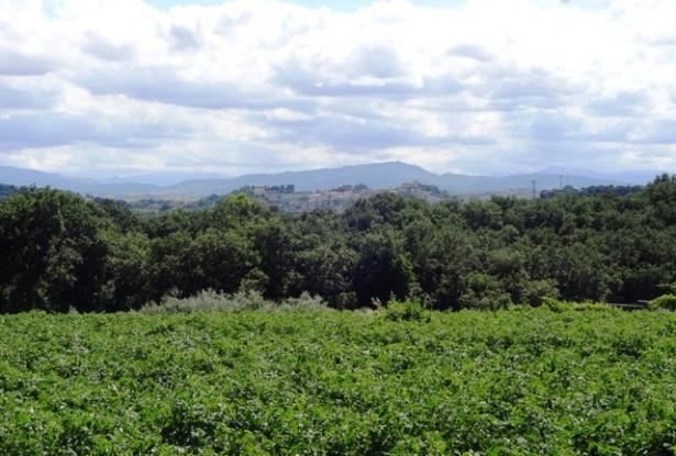 Building plot close to the beach for a Villa Abruzzo Italy