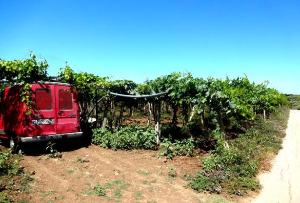 Building plot close to the beach for a Villa Abruzzo Italy
