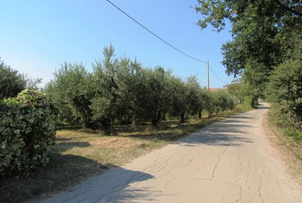 Building land for 200sqm Villa Abruzzo Italy