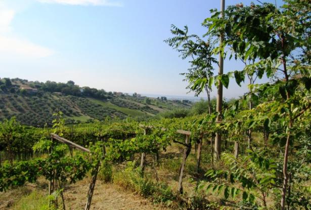 Building land for 200sqm Villa Abruzzo Italy