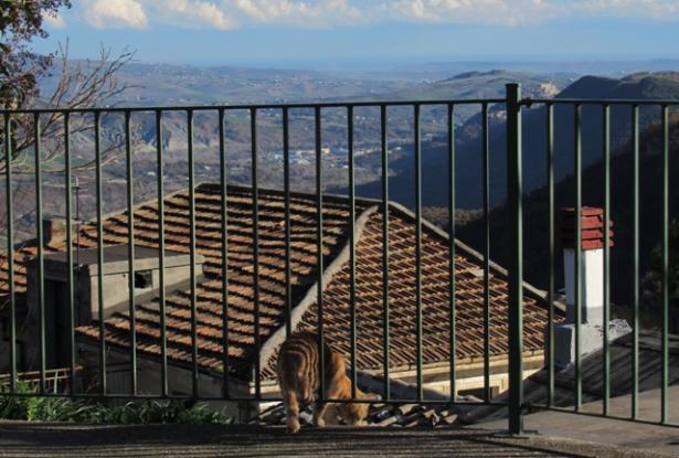Stone town house with garden for sale in Abruzzo