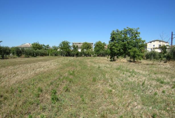 Villa with land for sale in Abruzzo Italy